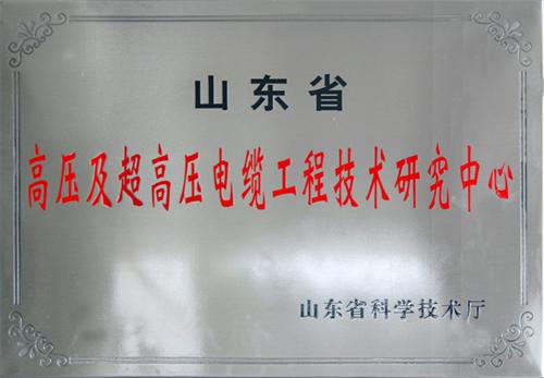 高壓及超高壓電纜工程技術(shù)研究中心