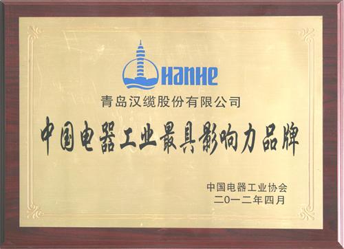 中國(guó)電器工業(yè)最具影響力